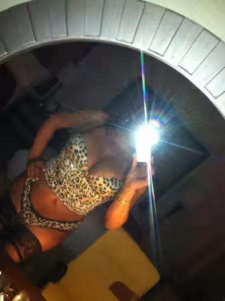 TS Basha - Escort/Massage/S&M in Houston, TX