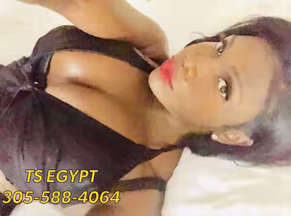 Escort/Massage TS Egypt / Honey in New York City - Manhattan, NY