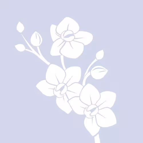 companion/Massage/S&M Desireh Chin in Miami, FL
