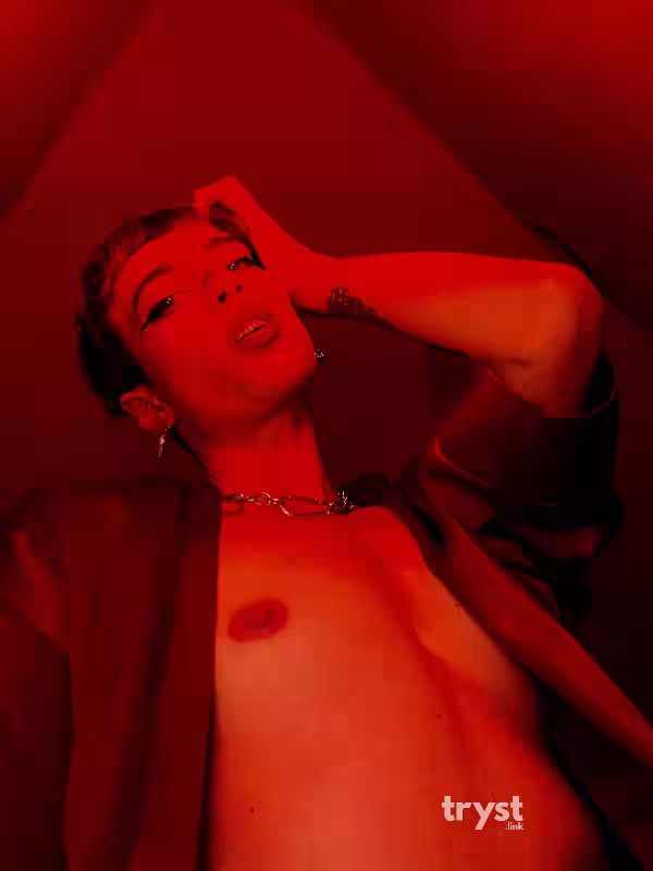companion/Massage/S&M Scarlet in North Hollywood, CA